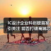 IC设计企业科创板首发引关注 能否打破高端芯片依赖？（图4）