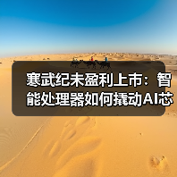 寒武纪未盈利上市:智能处理器如何撬动AI芯片赛道?(图4) 寒武纪未盈利上市:智能处理器如何撬动AI芯片赛道?(图4)