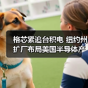 格芯紧追台积电 纽约州扩厂布局美国半导体产能（图3）