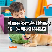 韩国升级供应链管理战略,冲刺零部件强国(图4) 韩国升级供应链管理战略,冲刺零部件强国(图4)
