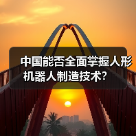 中国能否全面掌握人形机器人制造技术?(图3) 中国能否全面掌握人形机器人制造技术?(图3)