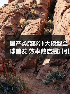 国产类脑脉冲大模型全球首发 效率数倍提升引领未来(图1) 国产类脑脉冲大模型全球首发 效率数倍提升引领未来(图1)