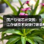国产存储芯片突围:长江存储技术突破打破垄断(图2) 国产存储芯片突围:长江存储技术突破打破垄断(图2)