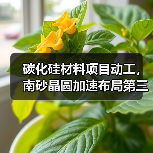 碳化硅材料项目动工,南砂晶圆加速布局第三代半导体(图1) 碳化硅材料项目动工,南砂晶圆加速布局第三代半导体(图1)