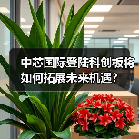 中芯国际登陆科创板将如何拓展未来机遇?(图4) 中芯国际登陆科创板将如何拓展未来机遇?(图4)