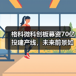 格科微科创板募资70亿投建产线,未来前景如何?(图4) 格科微科创板募资70亿投建产线,未来前景如何?(图4)