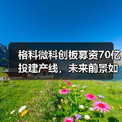 格科微科创板募资70亿投建产线,未来前景如何?(图3) 格科微科创板募资70亿投建产线,未来前景如何?(图3)