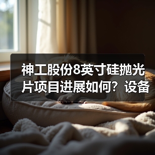 神工股份8英寸硅抛光片项目进展如何?设备安装调试启动(图3) 神工股份8英寸硅抛光片项目进展如何?设备安装调试启动(图3)