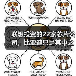 联想投资的22家芯片公司,比亚迪只是其中之一?(图4) 联想投资的22家芯片公司,比亚迪只是其中之一?(图4)