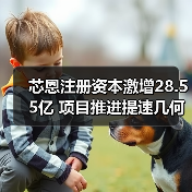芯恩注册资本激增28.55亿 项目推进提速几何？（图4）