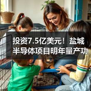 投资7.5亿美元！盐城半导体项目明年量产功率模块（图4）