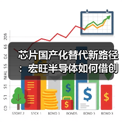 芯片国产化替代新路径：宏旺半导体如何借创新与定制服务抢占市场？