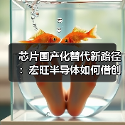 芯片国产化替代新路径：宏旺半导体如何借创新与定制服务抢占市场？（图3）