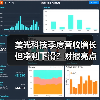 美光科技季度营收增长但净利下滑？财报亮点解析（图3）