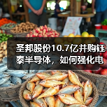 圣邦股份10.7亿并购钰泰半导体，如何强化电源管理优势？