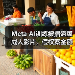 Meta AI训练被指盗版成人影片，侵权案金额达25亿（图3）