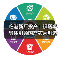 临港新厂投产！积塔半导体引领国产芯片制造升级（图2）