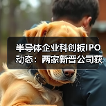 半导体企业科创板IPO动态：两家新晋公司获受理