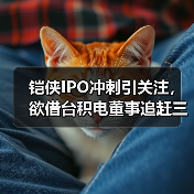 铠侠IPO冲刺引关注，欲借台积电董事追赶三星（图4）