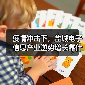 疫情冲击下,盐城电子信息产业逆势增长靠什么?(图2) 疫情冲击下,盐城电子信息产业逆势增长靠什么?(图2)