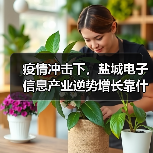 疫情冲击下,盐城电子信息产业逆势增长靠什么?(图3) 疫情冲击下,盐城电子信息产业逆势增长靠什么?(图3)