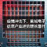 疫情冲击下,盐城电子信息产业逆势增长靠什么?(图4) 疫情冲击下,盐城电子信息产业逆势增长靠什么?(图4)