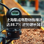 上海集成电路销售增速达38.7% 逆势增长背后的驱动因素有哪些？（图3）