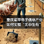 重庆梁平电子信息产业如何实现“无中生有”到补链成群？