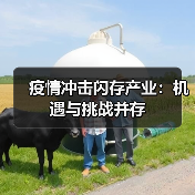 疫情冲击闪存产业:机遇与挑战并存(图1) 疫情冲击闪存产业:机遇与挑战并存(图1)