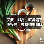 宁波“鹏霄”服务器下线投产，效率媲美国际主流品牌