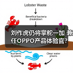 刘作虎仍将掌舵一加 兼任OPPO产品体验官?人事变动引热议(图2) 刘作虎仍将掌舵一加 兼任OPPO产品体验官?人事变动引热议(图2)