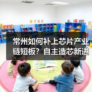 常州如何补上芯片产业链短板?自主造芯新进展(图3) 常州如何补上芯片产业链短板?自主造芯新进展(图3)