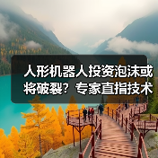 人形机器人投资泡沫或将破裂？专家直指技术瓶颈与安全风险（图4）