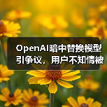 OpenAI暗中替换模型引争议，用户不知情被切换？（图2）