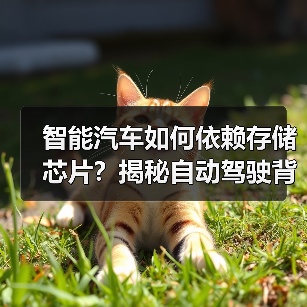 智能汽车如何依赖存储芯片?揭秘自动驾驶背后的存储技术挑战与机遇(图2) 智能汽车如何依赖存储芯片?揭秘自动驾驶背后的存储技术挑战与机遇(图2)