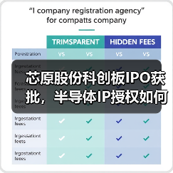 芯原股份科创板IPO获批，半导体IP授权如何赋能芯片定制？（图4）