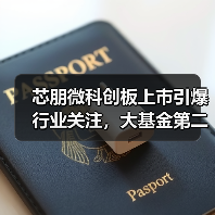 芯朋微科创板上市引爆行业关注,大基金第二大股东布局电源芯片赛道(图3) 芯朋微科创板上市引爆行业关注,大基金第二大股东布局电源芯片赛道(图3)