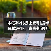 中芯科创板上市引爆半导体产业，未来机遇几何？（图2）
