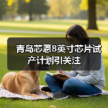 青岛芯恩8英寸芯片试产计划引关注（图4）