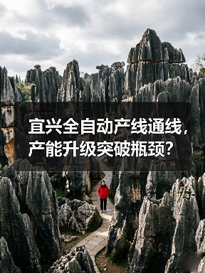 宜兴全自动产线通线，产能升级突破瓶颈？（图4）