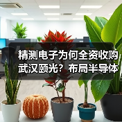 精测电子为何全资收购武汉颐光?布局半导体背后的意图揭秘(图1) 精测电子为何全资收购武汉颐光?布局半导体背后的意图揭秘(图1)