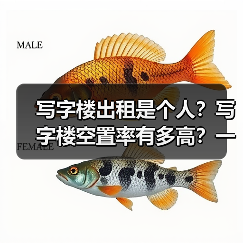 写字楼出租是个人?写字楼空置率有多高?一组数据告诉你真相(图4) 写字楼出租是个人?写字楼空置率有多高?一组数据告诉你真相(图4)