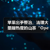 苹果出手整治,清理大量蹭热度的山寨“OpenAI Sora 2”应用(图3) 苹果出手整治,清理大量蹭热度的山寨“OpenAI Sora 2”应用(图3)