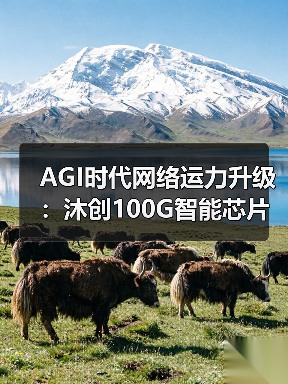 AGI时代网络运力升级：沐创100G智能芯片N20引领新变革（图2）