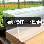 如何识别下一个福斯特（图2）
