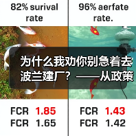 为什么我劝你别急着去波兰建厂?——从政策波动到劳工纠纷的真实风险拆解(图2) 为什么我劝你别急着去波兰建厂?——从政策波动到劳工纠纷的真实风险拆解(图2)