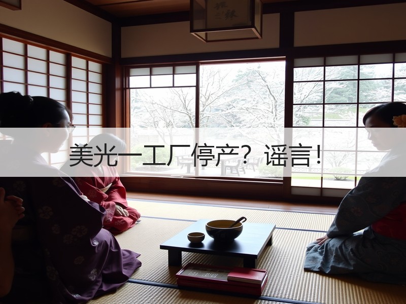 美光一工厂停产？谣言！