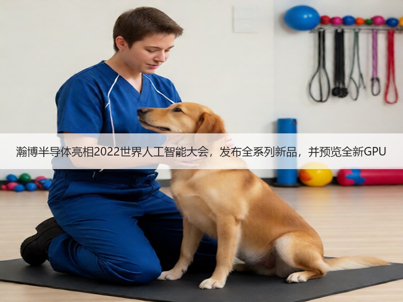 瀚博半导体亮相2022世界人工智能大会，发布全系列新品，并预览全新GPU