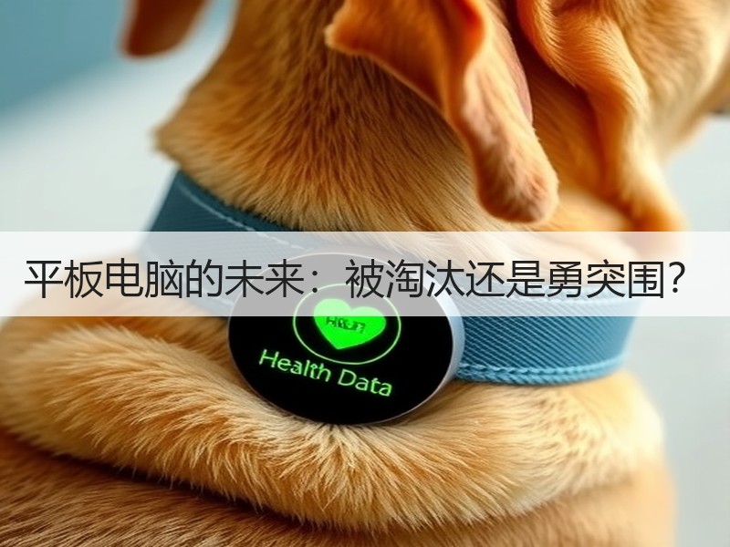 平板电脑的未来：被淘汰还是勇突围？