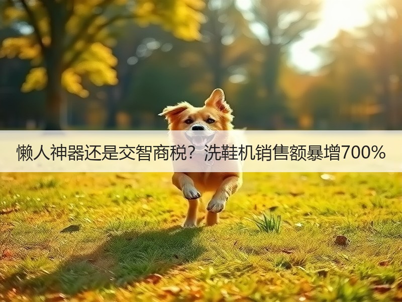 懒人神器还是交智商税？洗鞋机销售额暴增700%